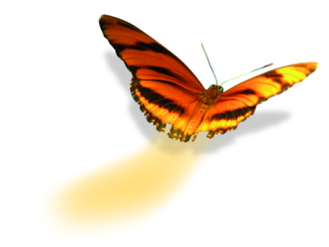 Prendre soin de vos états intérieurs