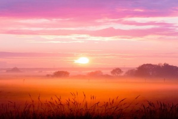 Formation à la pratique de la Chromo-Luminothérapie Musicale