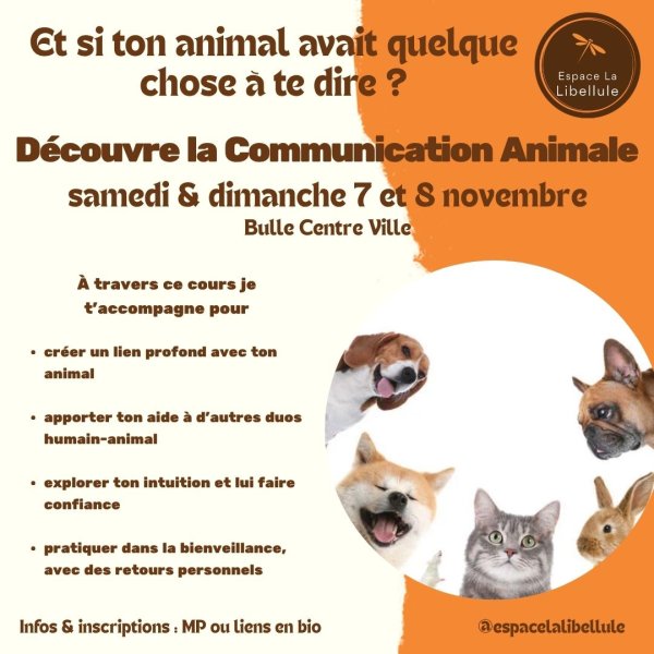 Cours de Communication Animale