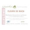 Diplôme Fleurs de BACH