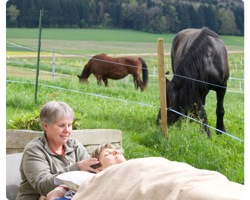 Je donne une séance de LaHoChi, lorsque le temps le permet la séance ou la formation de LaHoChi se fait dans le parc avec les chevaux, les chats, la chienne, les génisses du voisin. \nla personne est d\'accord d\'être sur la photo.