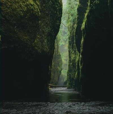 Nos valeurs : Le respect de la nature
