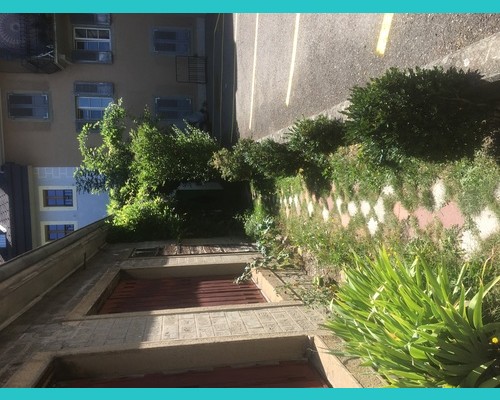 La porte d’entrée est verte au bout de l’allée d’herbe la façade bleu et jaune
