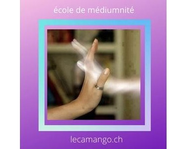 Logo de "LeCamango" école de médiumnité & cartomancie
