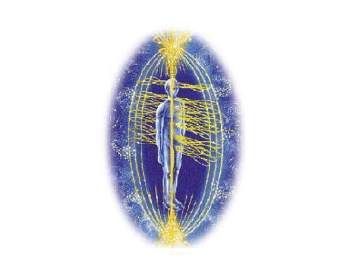 EMF Balancing Technique®